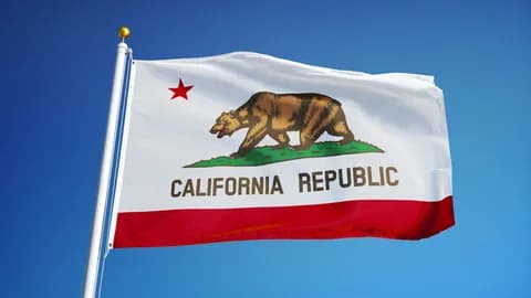 The California state flag