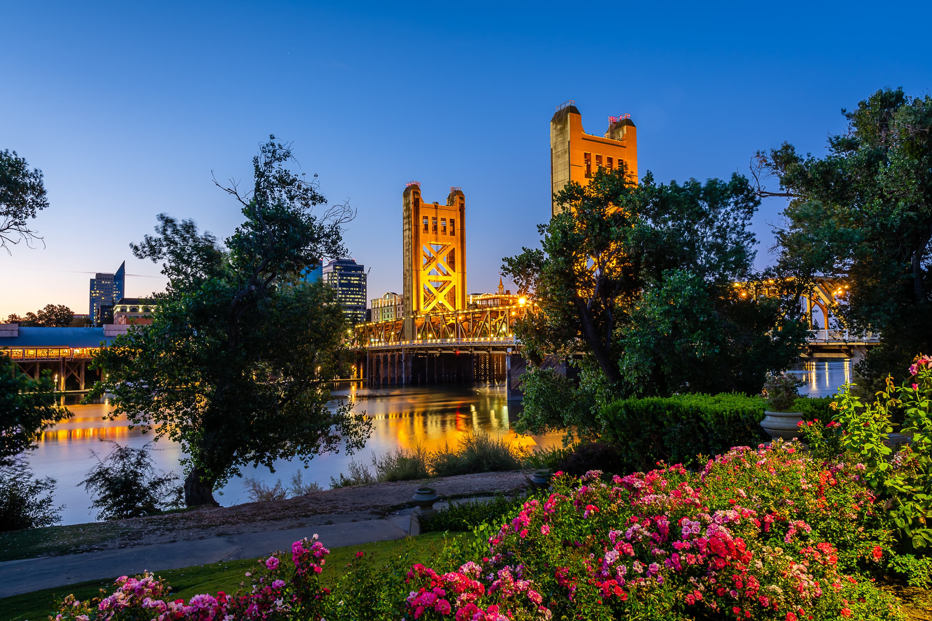 Sacramento's Tower Bridge glowing at dusk above the river and rose gardens