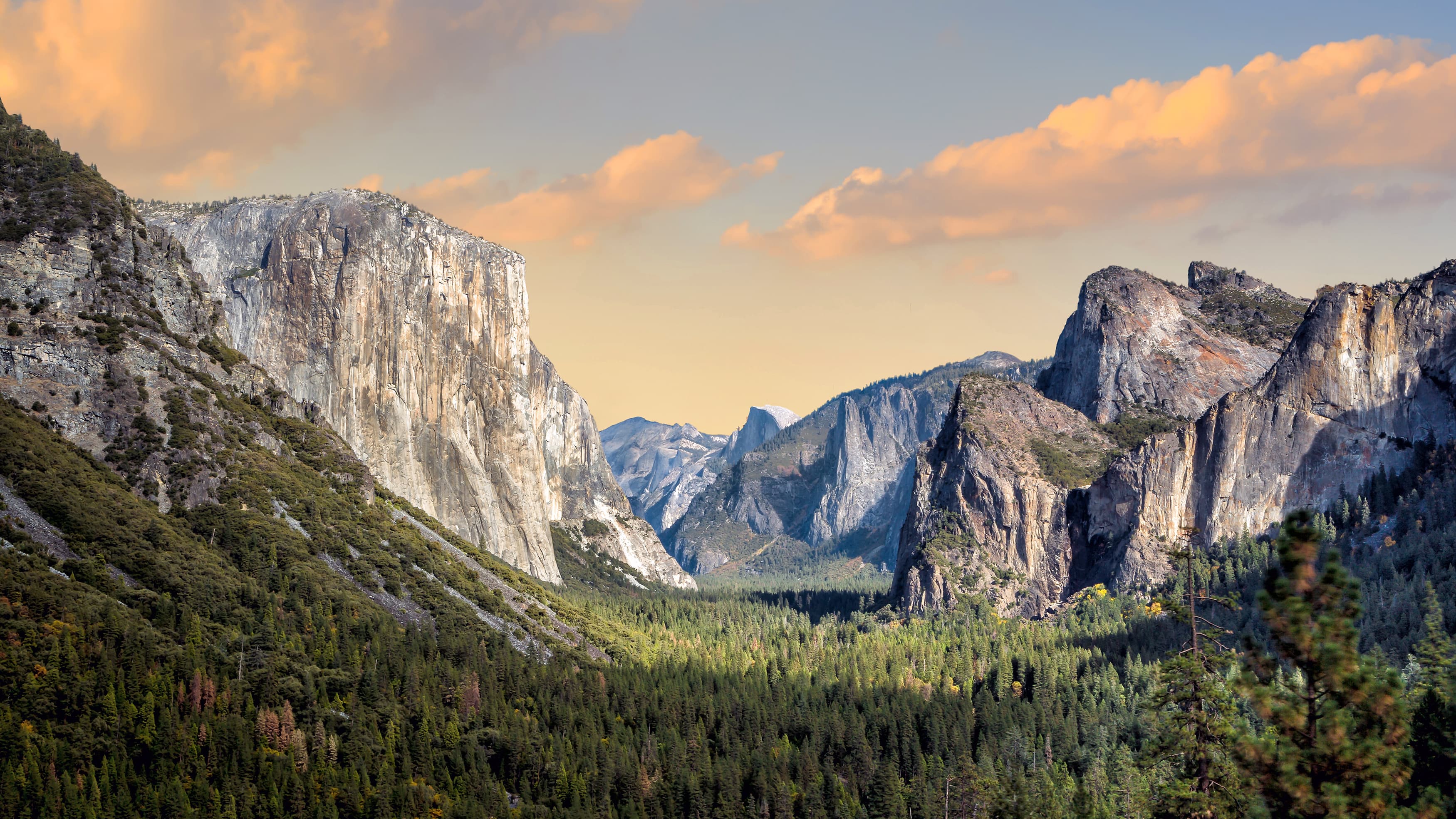 Yosemite Valley at sunset, with granite cliffs rising above an evergreen forest
